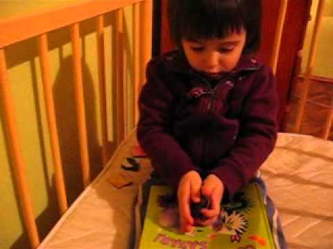 Anci razgleda knjigu o zivotinjama