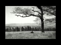 What Lack Of Love Has Done by Nick Lowe