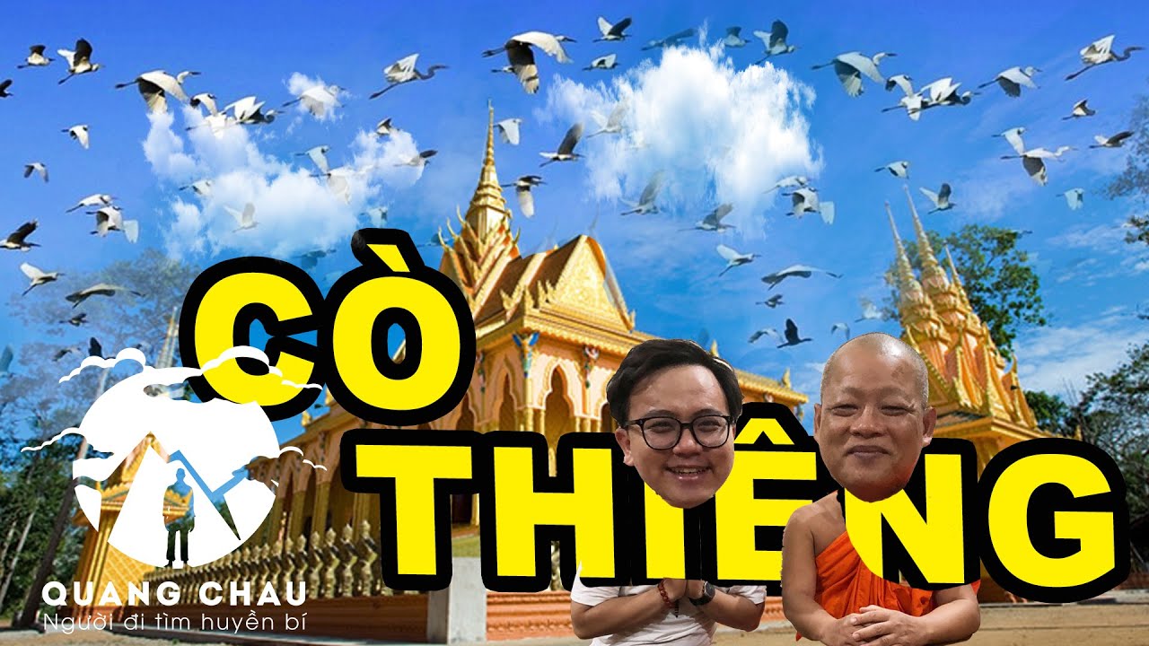 Ngôi chùa ẩn chứa linh khí hút hàng triệu con cò bay về cư trú suốt 300 năm | Nam Tông Trà Vinh 3