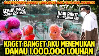 Download lagu KAGET BANGET AKU MENEMUKA DANAU SEJUTA LOUHAN GAK JAUH DARI JAKARTA! SEMUA JENIS LOUHAN ADA DISINI! mp3