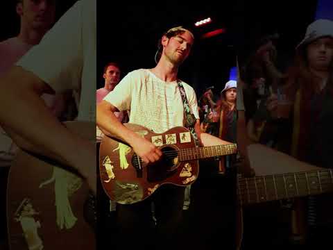 Chamomile - Walter Mitty and His Makeshift Orchestra