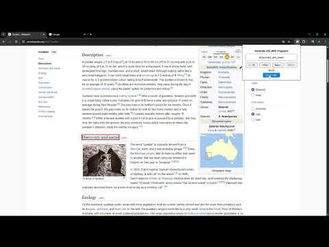 Item video thumbnail