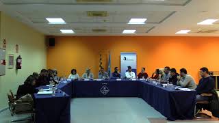 Ple municipal ordinari 30 de gener de 2020