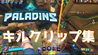 Paladins面白いからみんなやろう！