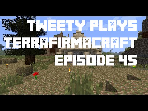 Tweety plays Terrafirmacraft ep 45 - charcoal