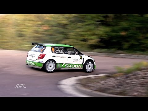 FIA ERC - 2014 Best of - Asphalt Master