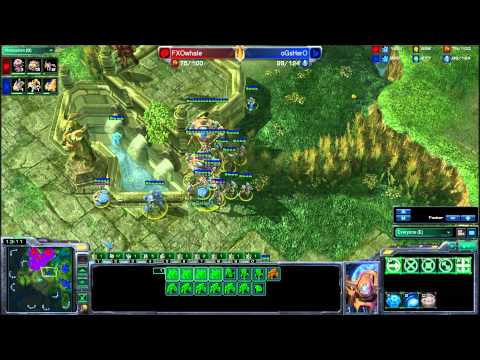 FXOWhale vs LiquidHerO