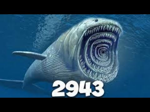 Evolution of Bloop 1992 _ 2022