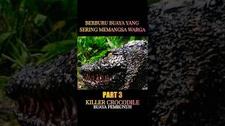 Download lagu penampakan buaya yang sering memangsa warga #shorts mp3