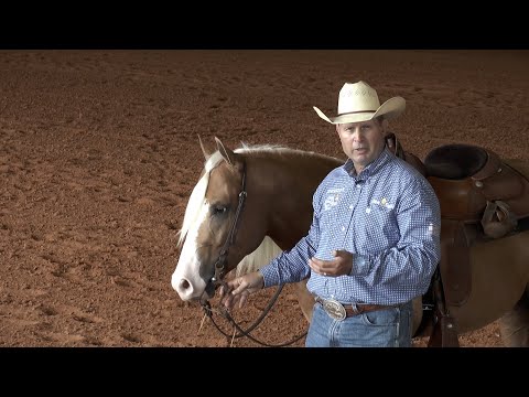 Todd Sommers - Fitting a Bridle Correctly