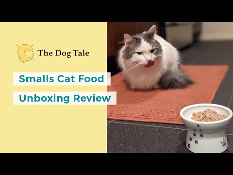 Smalls Cat Food Unboxing Video: Is This the Best Fresh Cat Food?