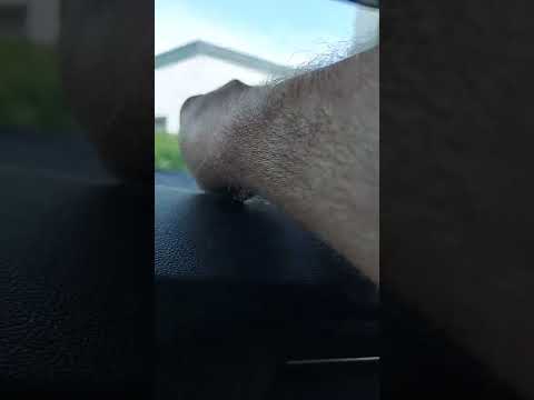 Wie einfach die Feinstaubplakette entfernen.