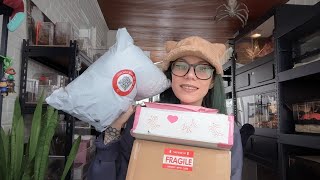 LIVE P.O. UNBOXING!.. Jumping Spider Goodies & MORE!