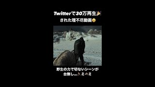 【面白】Twitterでバズった理不尽な出来事【Ghost of Tsushima ゴーストオブツシマ】#shorts