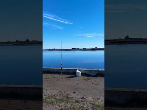 GENERAL LAVALLE PESCAR SIN VIENTO #fishing #pesca