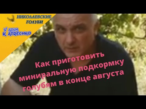 Как приготовить миниральную подкормку голубям в конце августа