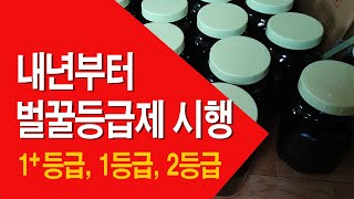 내년부터 벌꿀등급제 시행, 이제부턴 벌꿀도 등급이 매겨집니다.