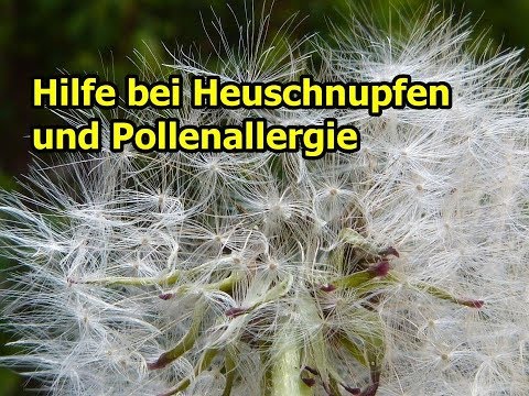 Euromed Prostatamassage Ob es möglich ist, eine Prostata-Massage mit Prostata-Steinen zu tun