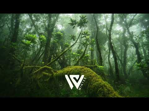 SeckoM x Snxw - Nelz Trying (ZOUK MASHUP) 2021