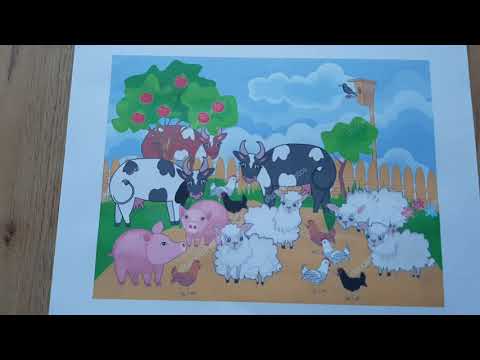 Animals živali - by JS Navitas