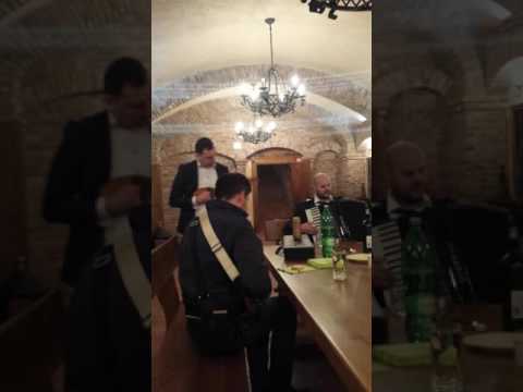 Ts Milenij - Kada lišće bude žuto