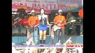 Download lagu PANTURA Secawan madu byAcha kumala live in sumur,brangsong mp3