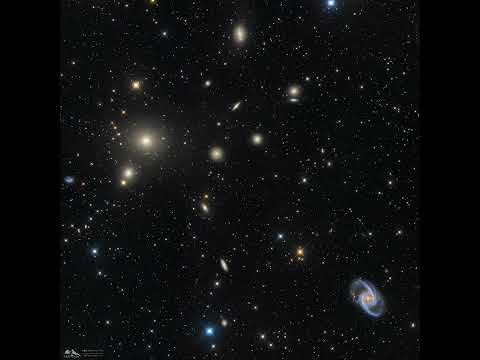 The Fornax Cluster of Galaxies #shorts
