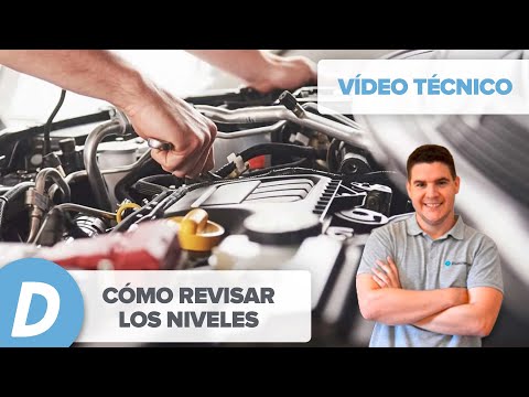 Cómo revisar los niveles del coche : aceite, refrigerante, frenos… | Diariomotor