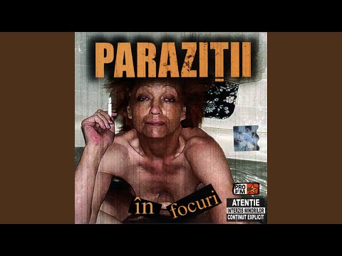 Video thumbnail for În focuri (Instrumental)