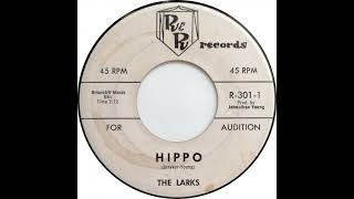 The Larks - Hippo. 1963 Rock &amp; Roll Instrumental