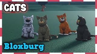 HOW TO build a CAT in BLOXBURG
