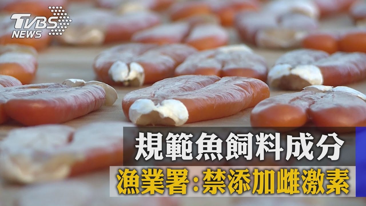 規範魚飼料成分 漁業署:禁添加雌激素