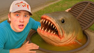 I Found a Sewer FILLED with MONSTER FISH!