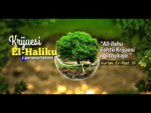 Emri i Zotit| El-Halik