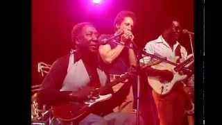 Muddy Waters - Can&#39;t Get No Grindin&#39;