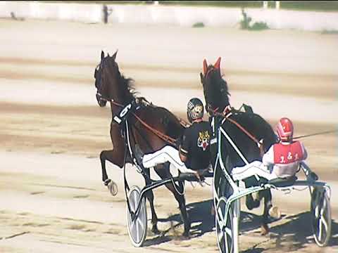 Trotto 09/10/2018 - 3ª corsa