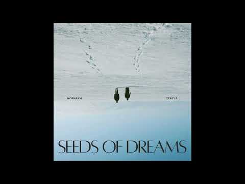 Tzayla - Seeds of Dreams (feat. noeharm) (Official Audio)