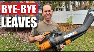Worx Trivac Leaf Blower & Mulcher REVIEW