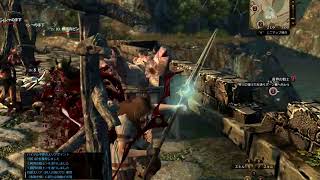 [DDON]ドラゴンズドグマオンライン　初見実況　第二話　[初見]