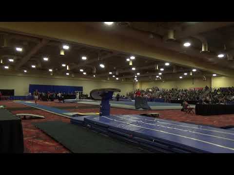 Vitaliy Guimaraes - Vault - 2019 Winter Cup Senior Finals