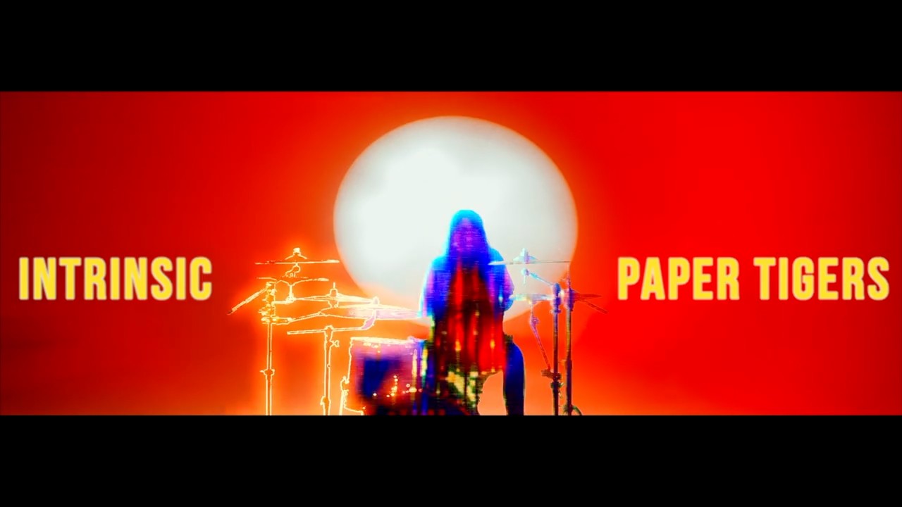 Intrinsic - Paper Tigers