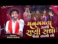 મારા મન ગમતા સાથી Gopal Sadhu Radha Rani Jignesh Barot Kheralu Dayro 202