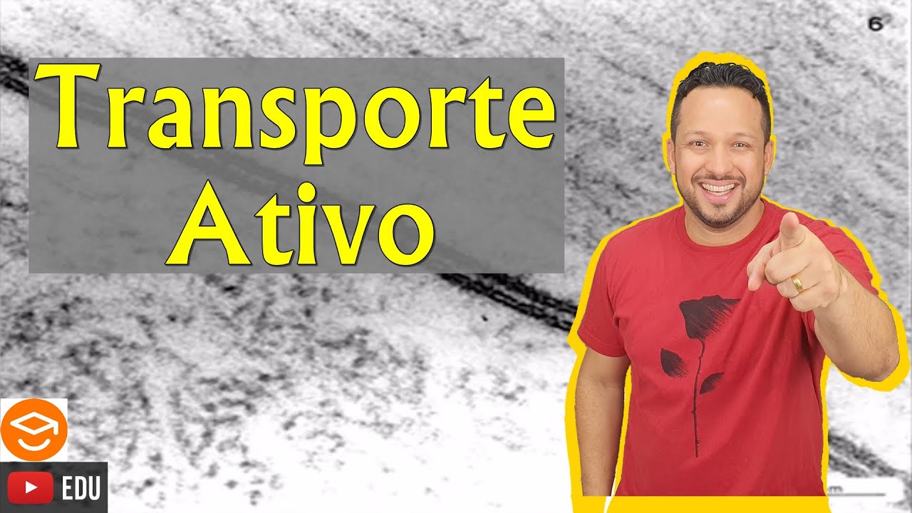 Transporte Ativo - Transporte da Membrana - Membrana Plasmática - Citologia