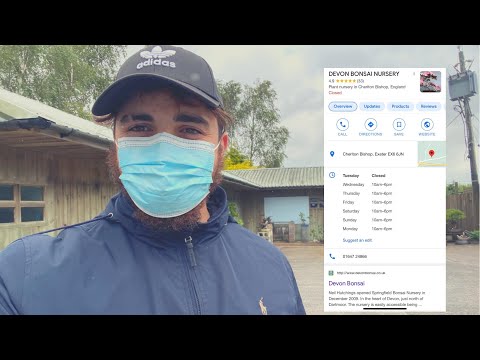 Devon Bonsai Nursery! 🪴💚