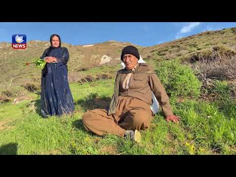بەڤیدیۆ.. چالاكوانێك هاووڵاتیان لە مەترسی بوونی كێڵگەی مینڕێژكراو ئاگاداردەكاتەوە