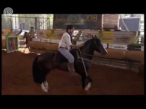 Classificatória Sapucaia (RJ) – 7° lugar machos – Butiá Don Quixote (Prova: Mangueira II)