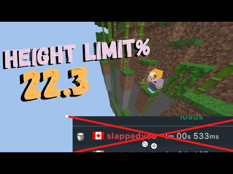 I SHATTERED This Minecraft World Record (SSG Height Limit Controller)