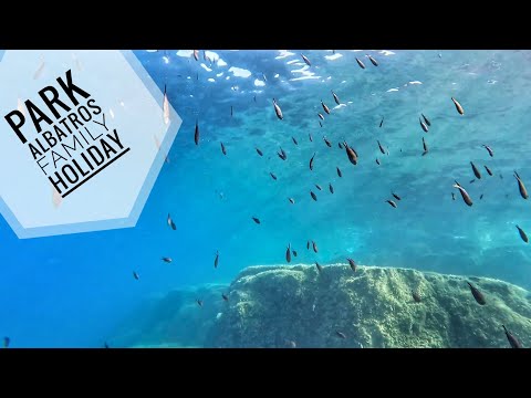 Park Albatros - family holiday 2025