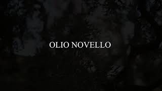 Olio nuovo 2021: caratteristiche, prezzi e dove comprarlo