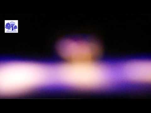 Les 7 péchés capitaux: Spectacle du Collège CSJH Eghezée 2013 partie 1/2